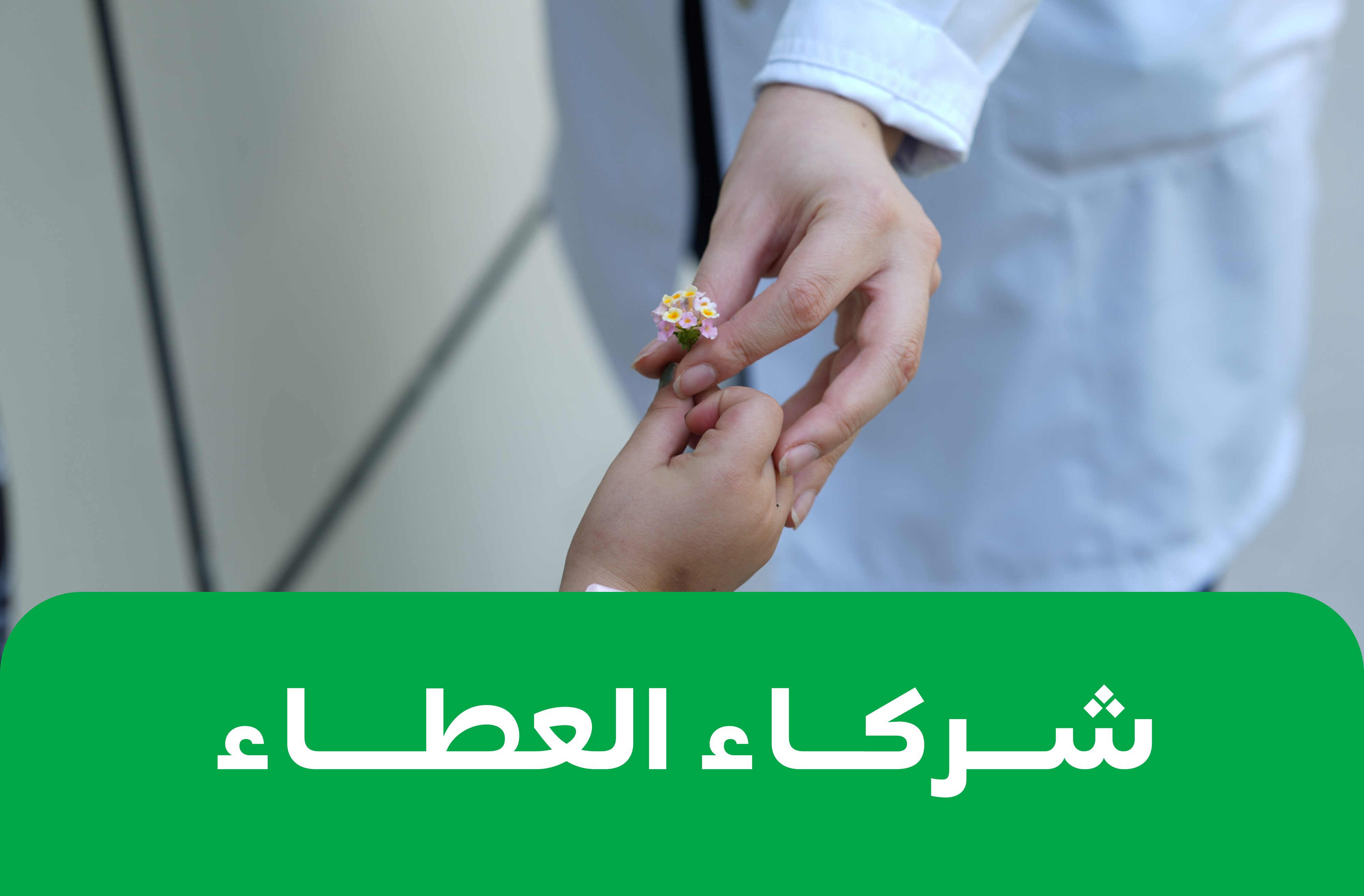 شركاء العطاء